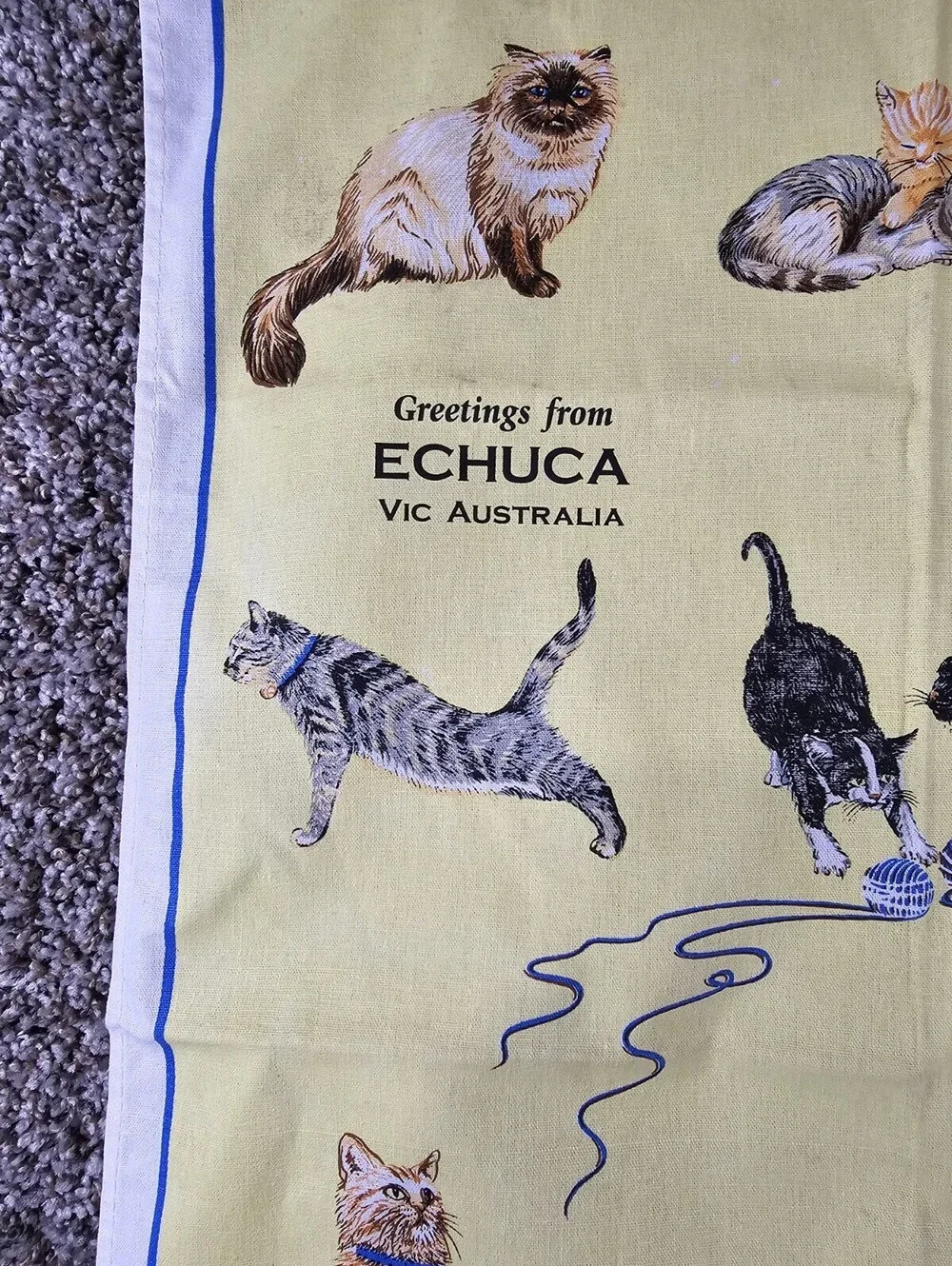 Greetings from Echuca Vic AustraliaSouvenir Teal Towel Linen Cat Print